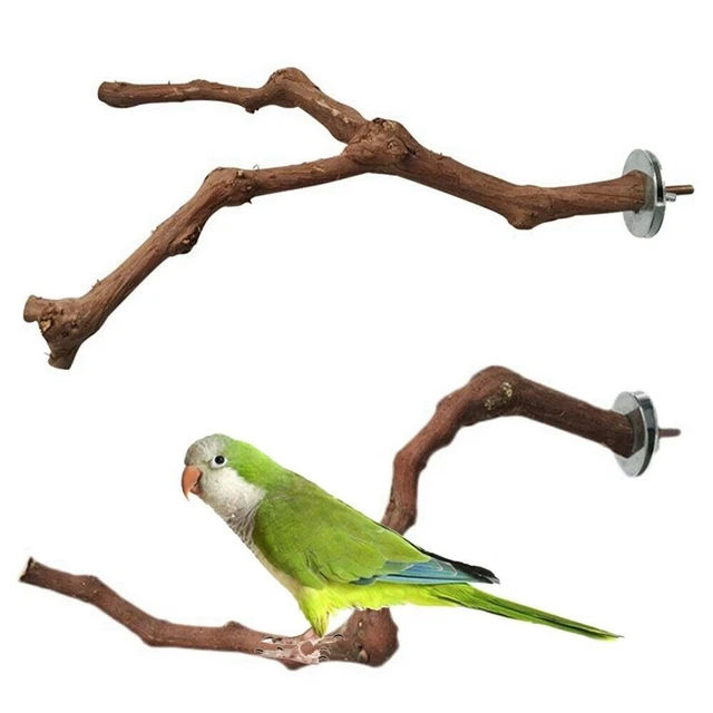 Curated visual reference: Gallery Detail: Wooden Parrot Bird Stand Tree Branch Hanging Toys Cage Perches