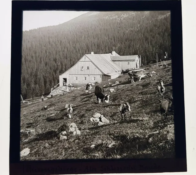 Altes Glasdia / Platte Schliesierhütte / Riesengebirge   c1905 8x8cm