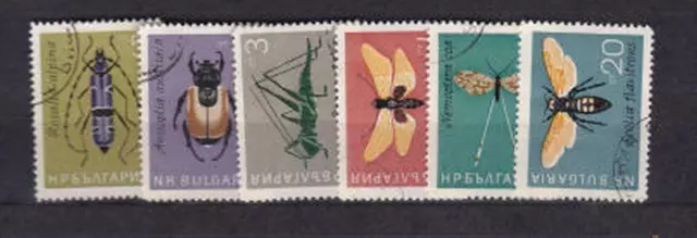 Bulgarien,Insekten