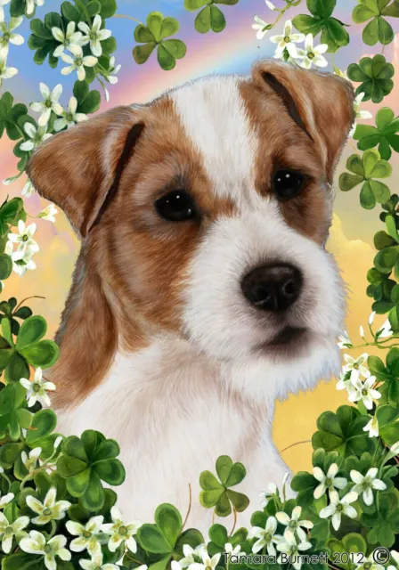 Clover House Flag - Wirehaired Brown and White Jack Russell Terrier