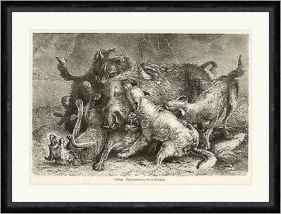 Sauhatz L. Beckmann Tiere Wildschweine Jagd Hunde Kampf Beute  Faksimile_A 0517