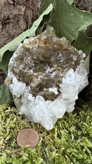 Großer Moscona Fluorit (Spanien) aus Mineralien Sammlung Auflösung Konvolut