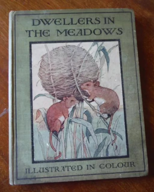 Lovely, Vintage Hardback Book, 'Dwellers in the Meadows' by Rev. Theodore Wood.