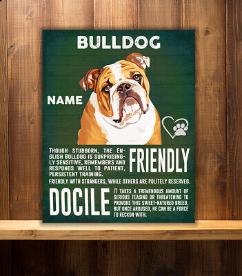 Personalised British Bulldog  Dog Breed   Vintage Metal Sign Rs69