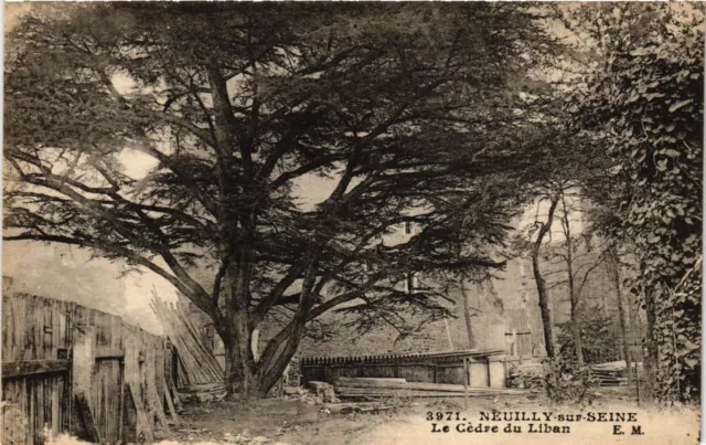 CPA Neuilly-sur-Seine - Le Cedre du Liban (274601)
