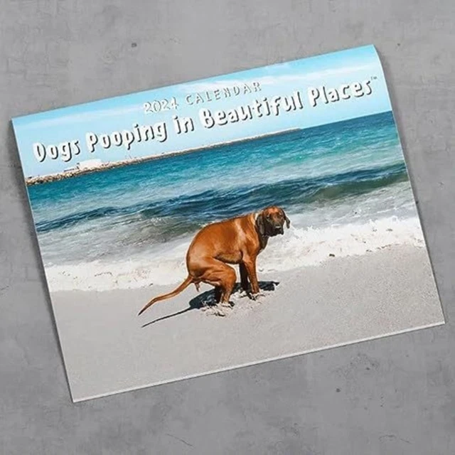 HUMOR 2024 CALENDAR Art Dogs Pooping in Beautiful Places Memorial Day