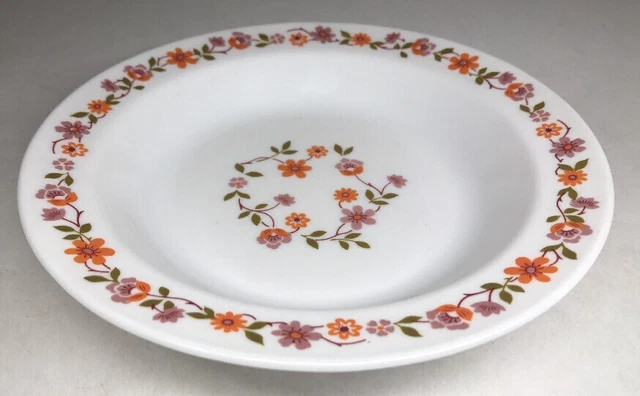 LOT13 DE 6 Assiettes Creuses Arcopal Vintage France D 21,5 Cm Fleurs