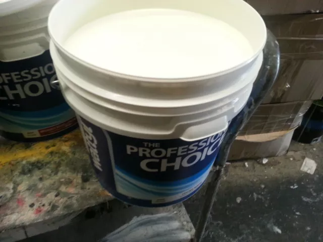 Wattyl 15 Litre Pro-Choice Interior Ceiling-Flat Berkeshire-White Color Paint