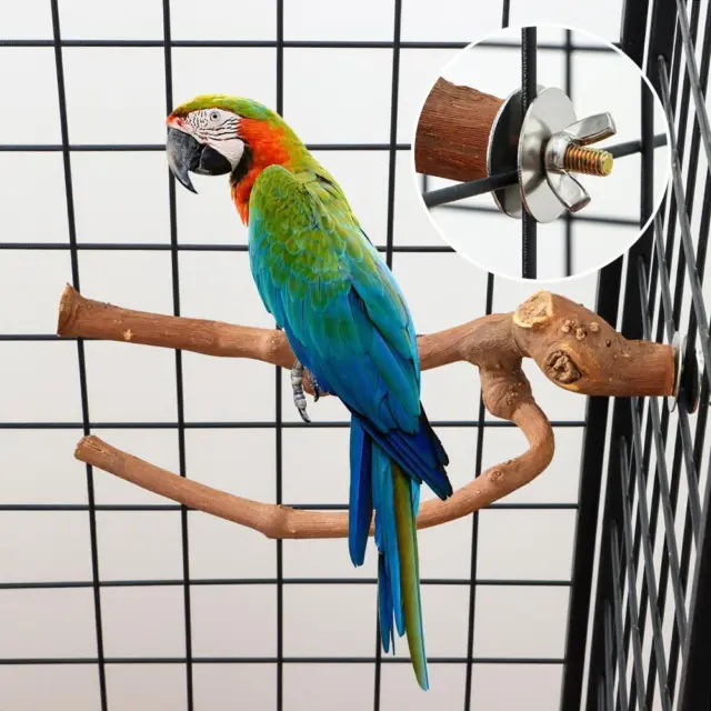 Stand Barsch-Plattform-Ständer Papagei Holzzweig Vogel hängendes Spielzeug
