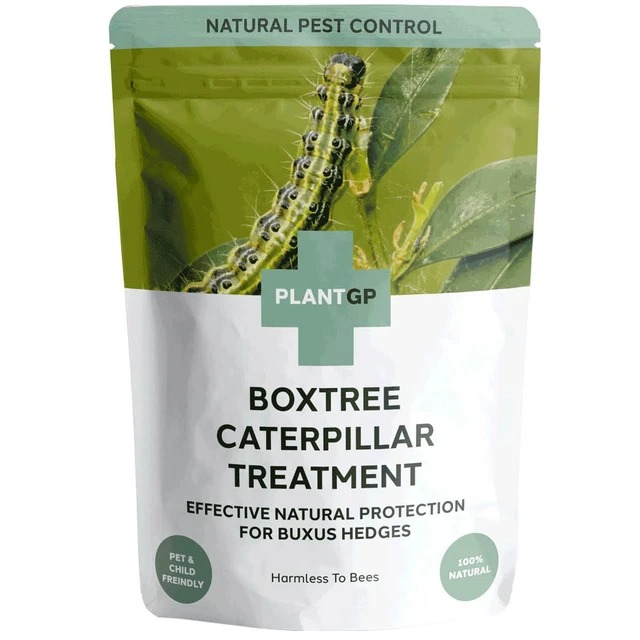 BOX TREE MOTH Caterpillar Treatment, Eco-Friendly, Safe for Bees ...