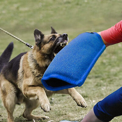 Juguete de remolcador para perro resistente al desgaste profesional mascota perro manga de entrenamiento juguete juguetes para jugar juguetes