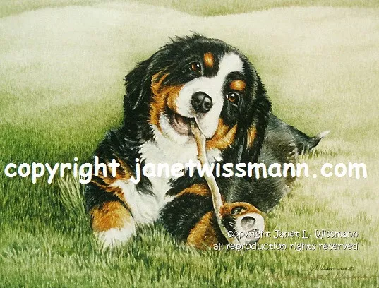 ART PAINTING PRINT Swiss Bernese Mountain Dog Ltd.Ed. Berner Burmese puppy 10x13