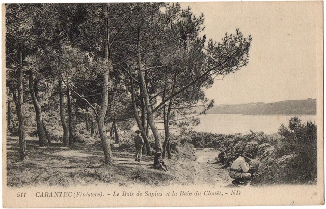 CPA 29 - CARANTEC (Finistère) - 511. Le Bois de Sapins et la Baie du Clouët - ND