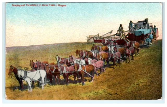 1911 Reaping and Threshing Agriculture 30 Horse Team OR Oregon Postcard