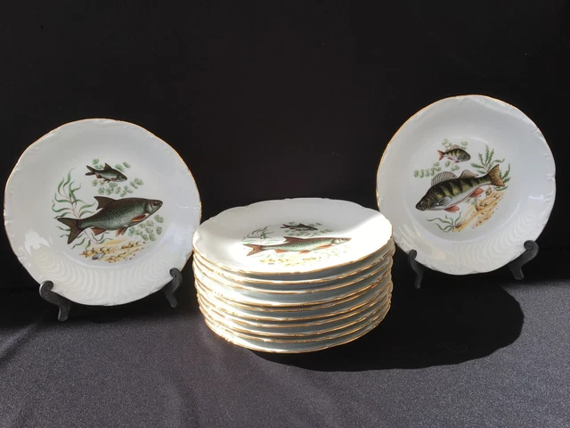 The Collectors Studio assiettes en porcelaine fine de la