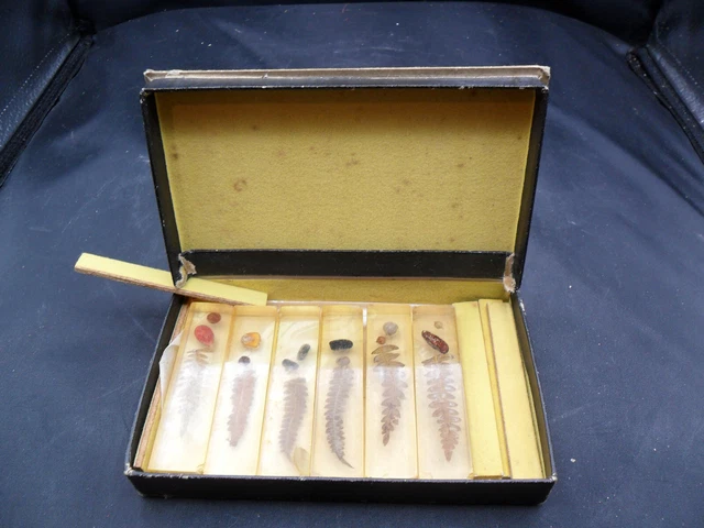 LOT 12 ANCIENS PORTE COUTEAUX Inclusions PLEXIGLASS Afrique EUR 7,00