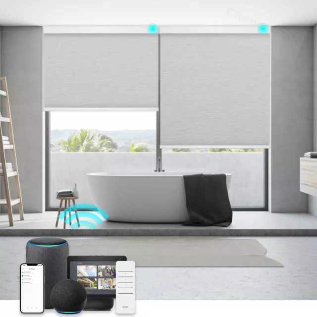 CUSTOM Size Changshade Blackout Smart Roller Blind Work with Alexa Phone Control