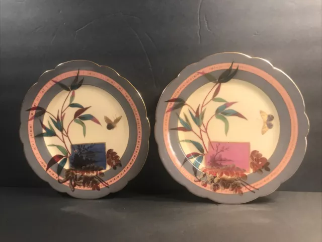 Pair of antique porcelain plate/Limoges/Plants/Insect/France C.1900/Gold/Gray