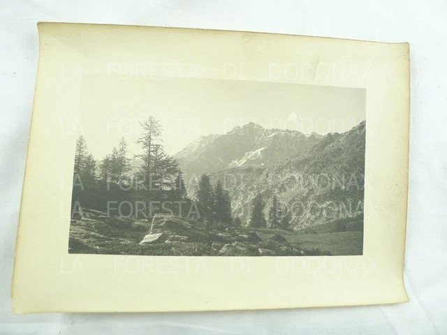 FOTOGRAFIA ANTICA 1904 LAGO PALù VALMALENCO  TRENTINO FOTO VECCHIA PANORAMA