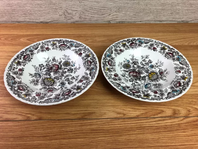 2 x Ridgway Ironstone Staffordshire Clifton Bowls