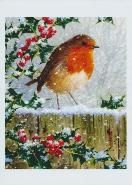 Winter Snow ROBIN RED BREAST Garden Bird Old World Flycatcher Family Art Print