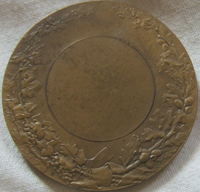 Médaille Société Des Sauveteurs Meurthe Et Moselle - Insigne Militaire Occasion Bon état