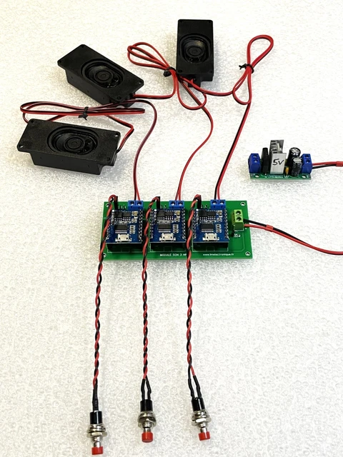 Lot De 2 Modules D'enregistrement Voix Pour Peluches - 60 Secondes, Piles Incluses, Facile à Installer (DIY)
