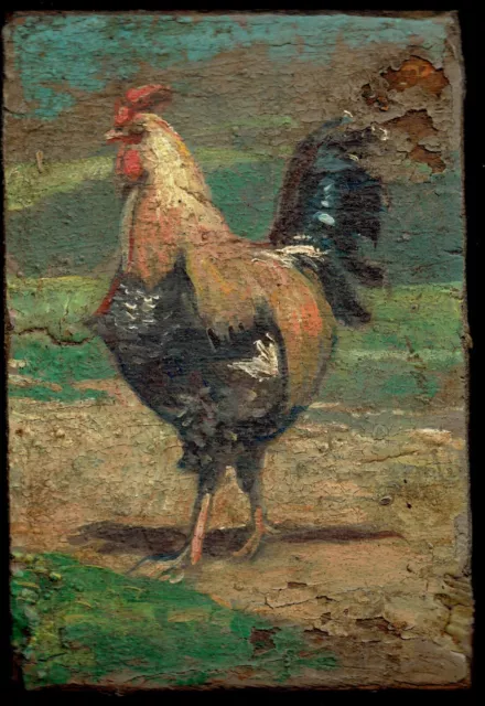 Gallo Pollaio Dipinto Olio Tavoletta cm.8 x 12