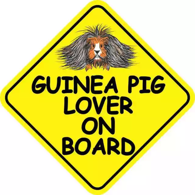 6x6 Long Haired Guinea Pig Lover on Board Magnet Car Truck Vehicle Magnetic Sign