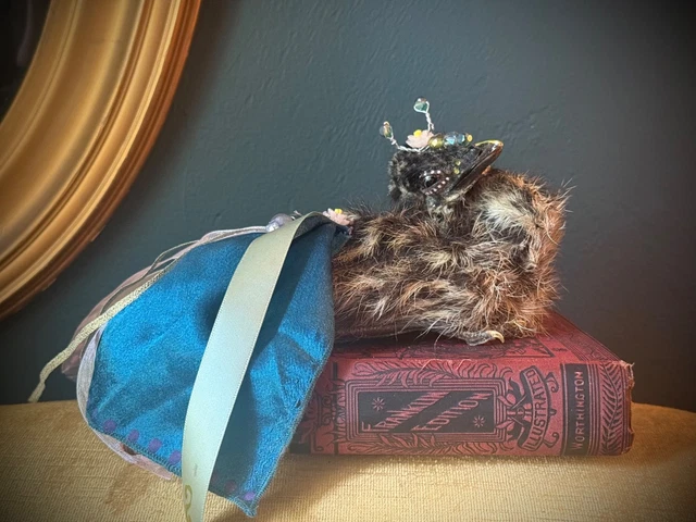 Slightly Unusual, Weird Stuff, Collectables - PicClick AU