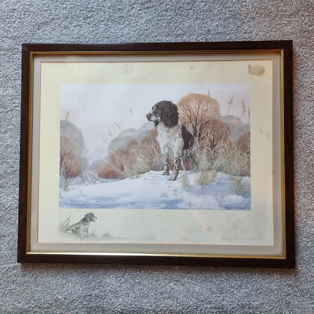 Nigel Hemming Springer Spaniels Framed Print