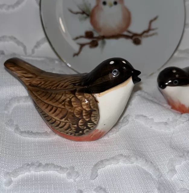 Hand Painted Plate Matching Salt & Pepper Shakers 2
