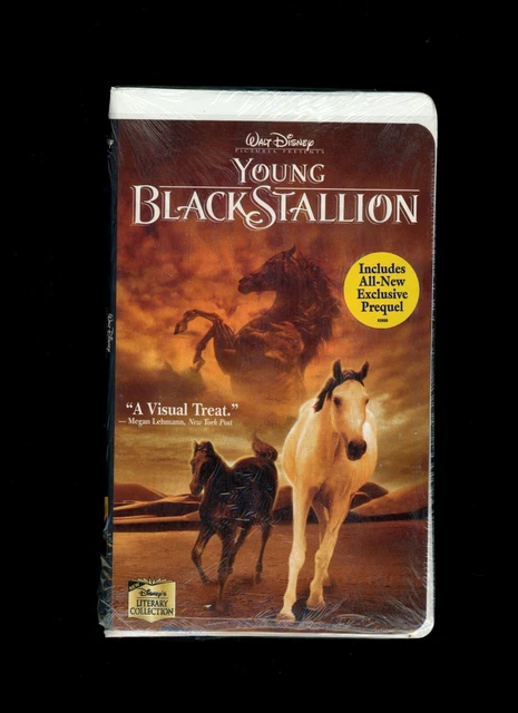 The Young Black Stallion (English Edition) EBook