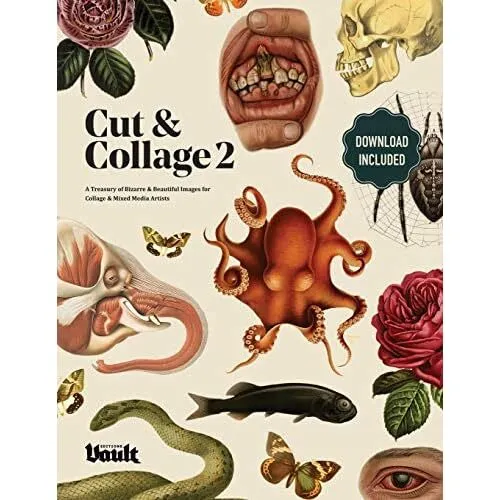 Cut and Collage A Treasury� of Bizarre and Beautiful Im - Paperback / softback N