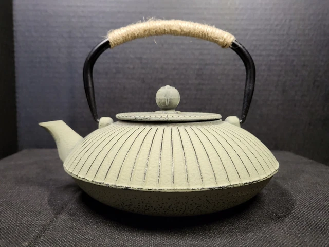 Japanese Style Cast Iron Tea Pot in Cream Colored Matte Enamel NEW w/ Filter