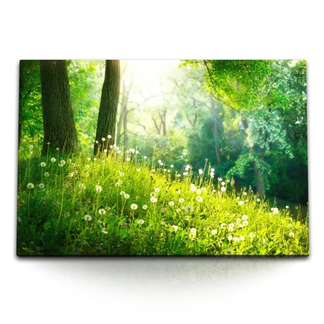 120x80cm Wandbild auf Leinwand Grüne Wiese am Waldrand Natur Pusteblumen Sonnens