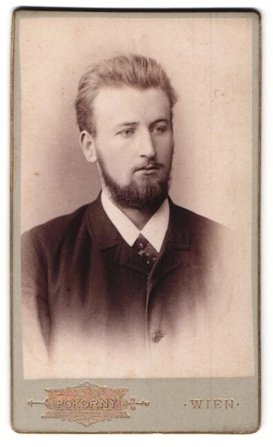 Fotografie Pokorny, Wien, Portrait stattlicher Herr mit Vollbart