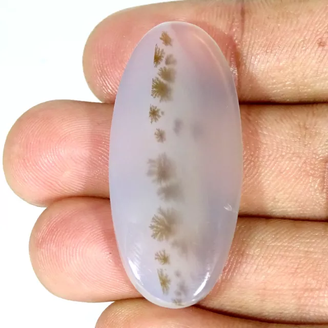 48.00Cts Natural Montana Agate Oval Cabochon Loose Gemstone