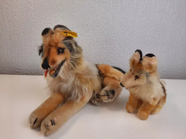 Steiff Hunde Collie liegend Knopf Fahne 2325/00 + Collie sitzend, Top