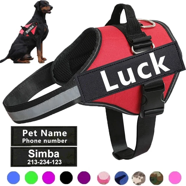 Any Size Personalized Choker Black Lace CUM Slut words Sissy DDLG BDSM Collar eB