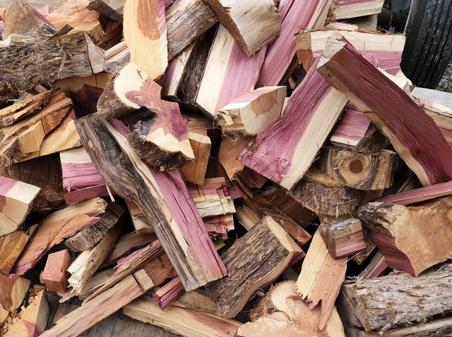 4+ Pounds Eastern Red Cedar Wood Scraps Craft Projects Wooden Scrap Pieces