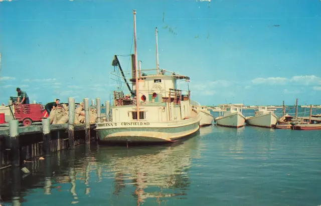 Postcard Mail and Passenger Boat at Tangier Island Virginia