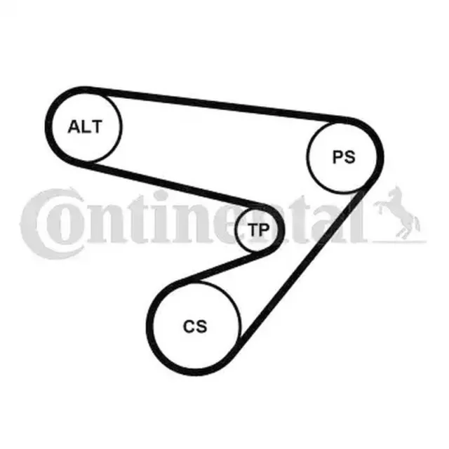 Continental Ctam Keilrippenriemensatz für Opel, Vauxhall