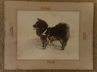 Family Dog Pet Portrait Moore Studio Copy Very Old Antique Beloved apx 19"x15"