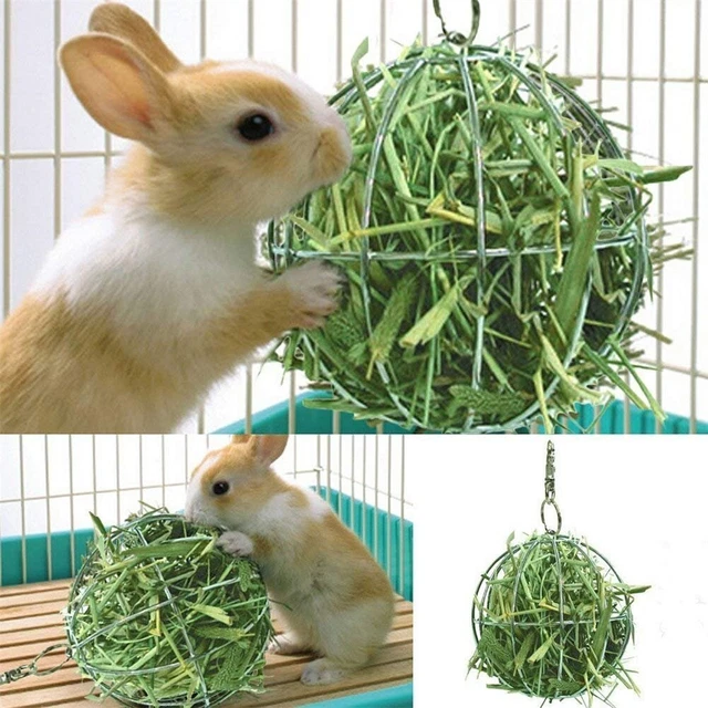 Dispensador de alimentación bola dispensador de alimentación para mascotas conejo bola conejillo de indias hámster mascota conejo