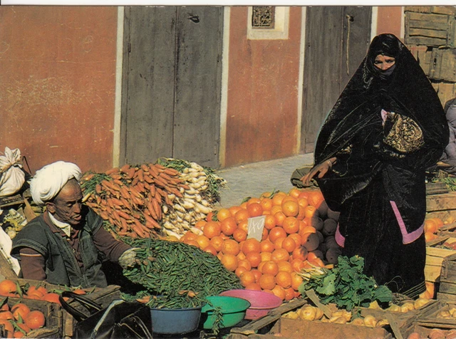 Antique MOROCCO Written Market Day Postcard