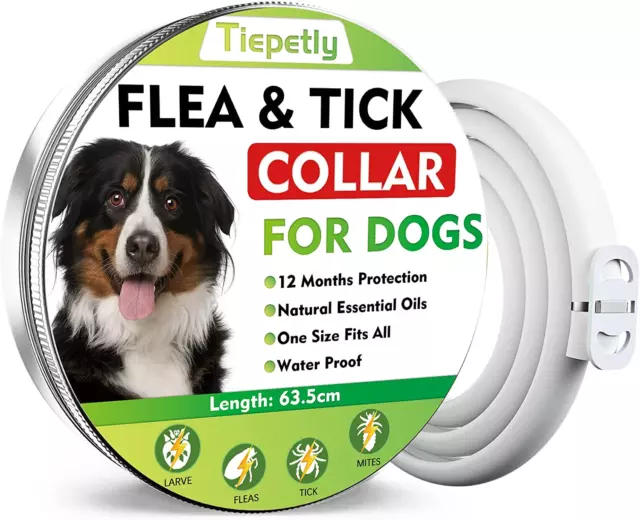 🐶Bayer Seresto CANE Sotto 8 Kg Collare Antiparassitario per CANI Taglia Piccola