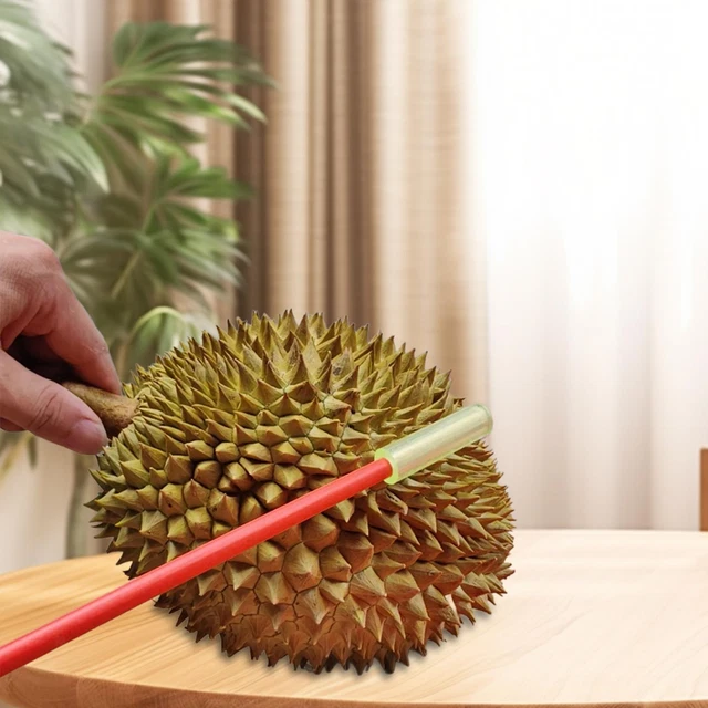 DURIAN FRUIT TESTING Stick Ripe Fruit Testing Tool for Cooking Personal