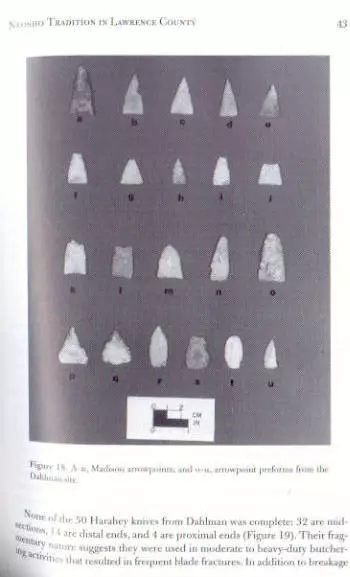 Missouri Indian Archaeology Book Mt. Vernon, MO V60c