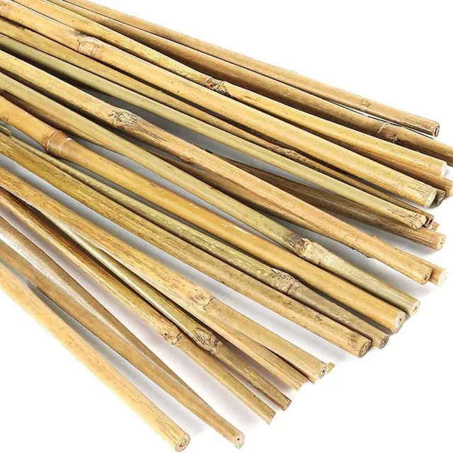 Eco Friendly Bamboo Garden Support Stakes 20 Pieces Stable and Reliable 3